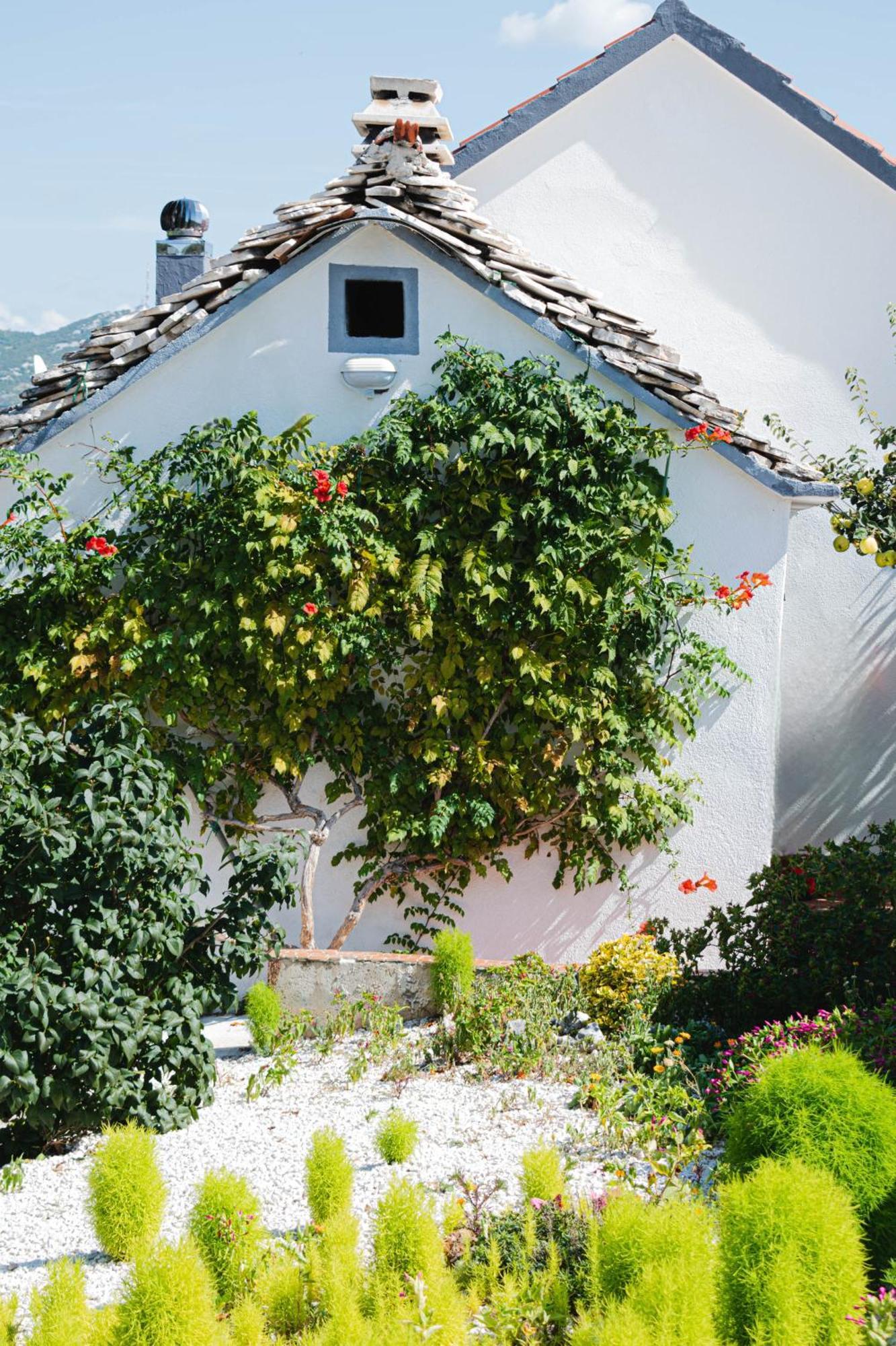 הוילה Blizna Donja House Camellia With Fenced Pool And Playground מראה חיצוני תמונה